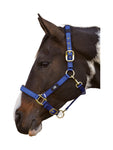 Deluxe Padded Head Collar