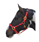 Deluxe Padded Head Collar