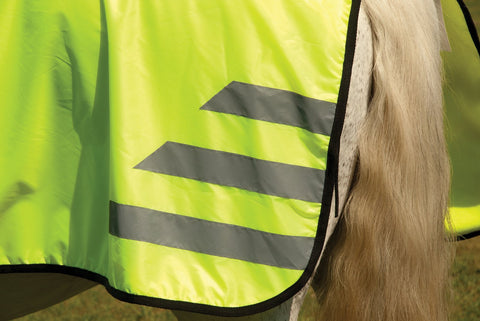 Horse and Rider Safety