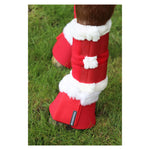 Christmas Santa Horse Outfit