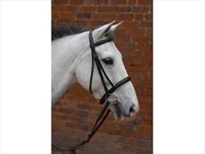 Padded Cavesson Bridle Rubber Grip Reins