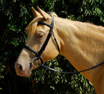 Bridle With Cavesson Noseband