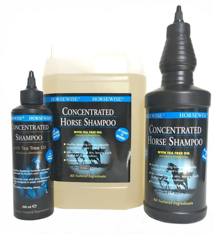 Concentrated Shampoo