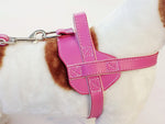 Fusion Leather Harness