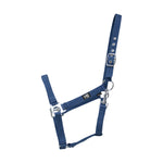 Economy Plus Head Collar