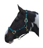 Deluxe Padded Head Collar