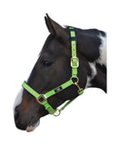 Deluxe Padded Head Collar