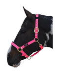 Deluxe Padded Head Collar