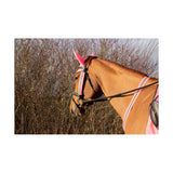 Hy Equestrian Reflector Martingale