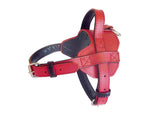 Fusion Leather Harness
