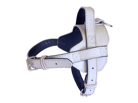 White Fusion Leather Harness- small
